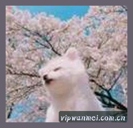 陈丽
